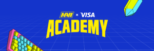 NAVI Visa Academy